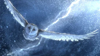 Legend of the Guardians: The Owls of Ga'Hoole · — · 5
