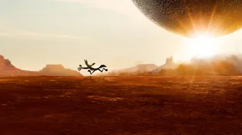 Coyote vs. Acme · — · 1